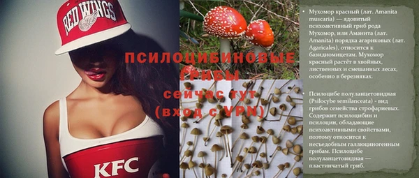 spice Армянск